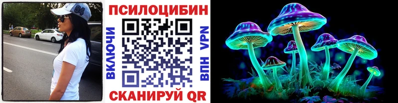 Псилоцибиновые грибы Psilocybine cubensis Ворсма