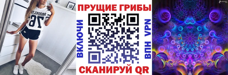 Галлюциногенные грибы Psilocybine cubensis  Купить где  Ворсма 