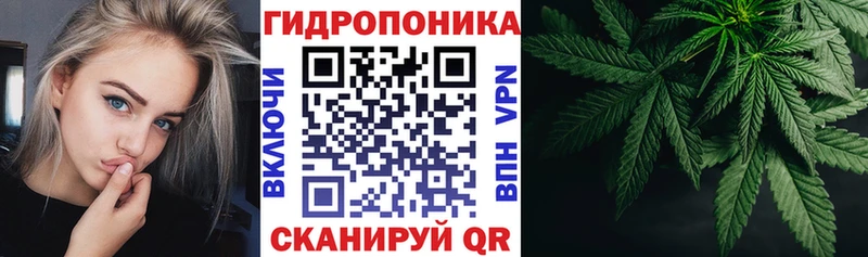 Шишки марихуана сатива  Купить где  Ворсма 